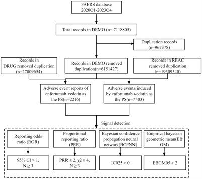 Post-marketing drug safety surveillance of enfortumab vedotin: an observational pharmacovigilance study based on a real-world database